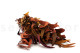 Preserved Eucalyptus Willow - Autumn Mix 5