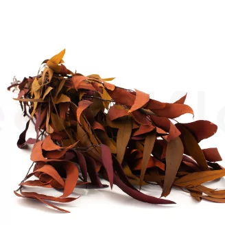 Preserved Eucalyptus Willow Autumn Mix