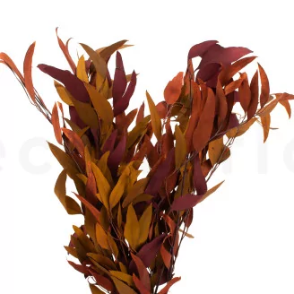 Preserved Eucalyptus Willow Autumn Mix