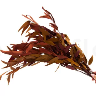Preserved Eucalyptus Willow Autumn Mix