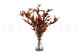 Preserved Eucalyptus Willow - Autumn Mix 2