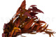 Preserved Eucalyptus Willow - Autumn Mix 1