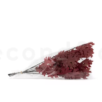 Preserved Oak Red