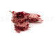 Preserved Oak - Red 6