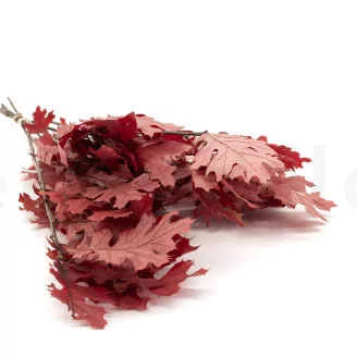 Preserved Oak Red