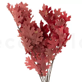 Preserved Oak Red