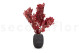 Preserved Oak Red 5