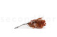 Preserved Oak Orange 8