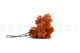 Preserved Oak Orange 3