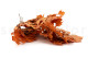 Preserved Oak Orange 6