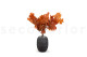 Preserved Oak - Orange 5