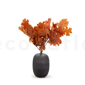 Preserved Oak Orange