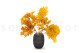 Preserved Oak - Yellow 5