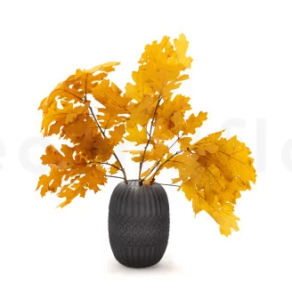 Preserved Oak Yellow