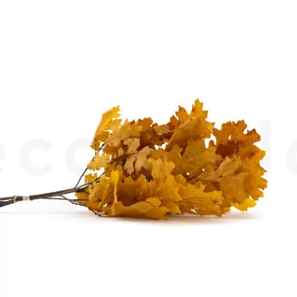 Preserved Oak Yellow
