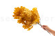 Preserved Oak - Yellow 4