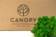 Preserved Reindeer Moss Nature Green (Bulk Box) 6