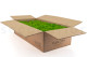 Preserved Reindeer Moss - Box 5 kg - Light Green 4