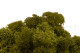 Preserved Reindeer Moss - Box 5 kg - Medium Green 8