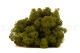 Preserved Reindeer Moss - Box 5 kg - Medium Green 4