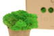 Preserved Reindeer Moss - Box 1 kg - Light Green 4