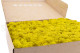 Preserved Reindeer Moss - Box - Yellow 2