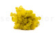 Preserved Reindeer Moss - Box 1 kg - Yellow 1