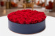 Preserved rose Kiara L - Box of 8 - Vibrant Red Roses 8