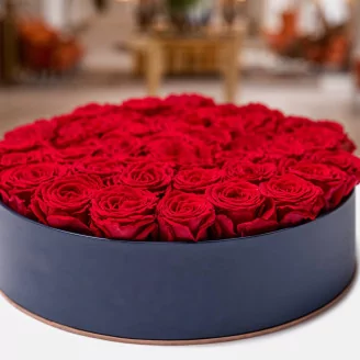 Preserved Rose L Red (set of 8)
