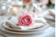 Preserved Rose XL Bridal Pink (set of 6) 2