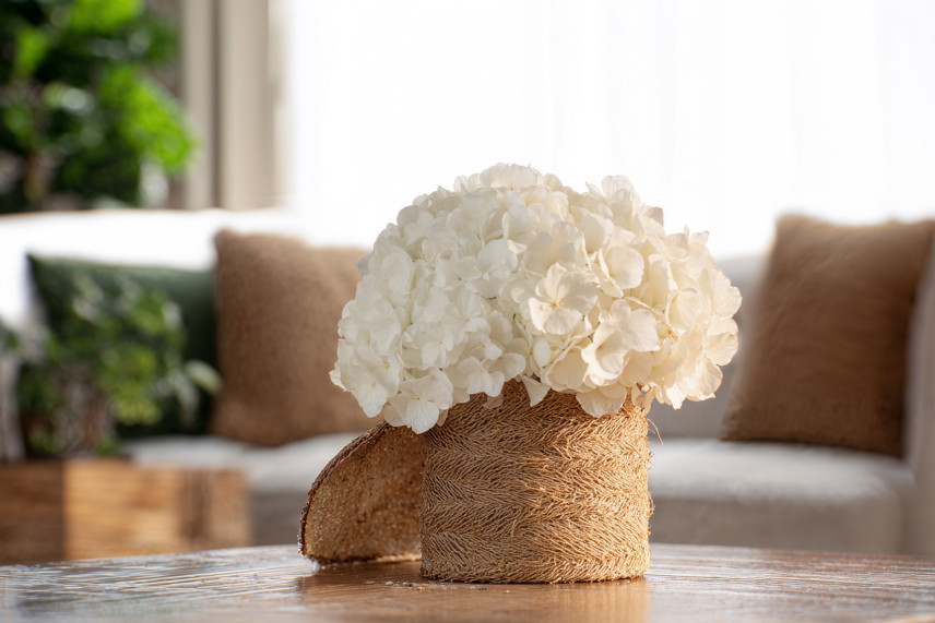 Preserved Hydrangea Kiara - White