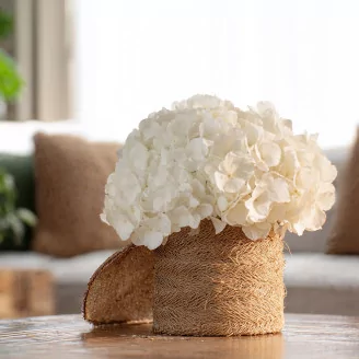 Preserved Hydrangea White