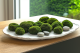 Preserved Mini Pole Moss - Box - Light Green 2