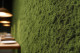 Preserved Rock Moss - Box - Green 2