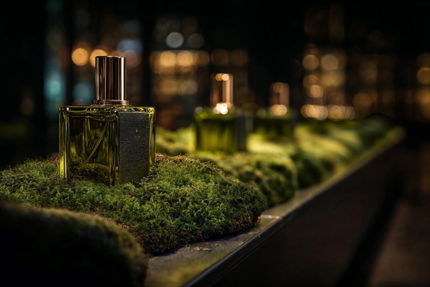 Preserved Star Moss - Box - Green