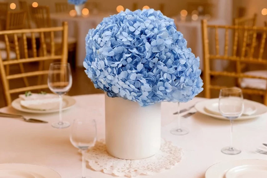 Preserved Hydrangea Light Blue