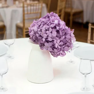Preserved Hydrangea Lavender