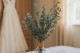 Preserved Baby-Blue Eucalyptus - Green 1