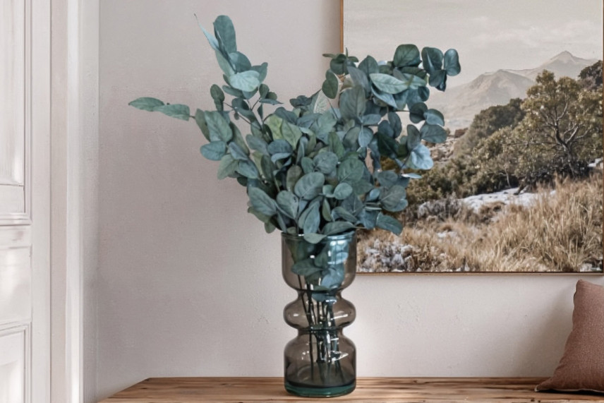 Preserved Eucalyptus Cinerea - Green-Blue