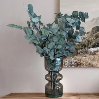 Preserved Eucalyptus Cinerea Green-Blue