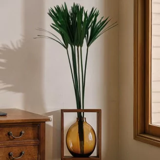 Preserved Papyrus