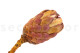 Preserved protea Grandiceps - 1 Stem - Pink 2