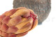 Preserved protea Grandiceps - 1 Stem - Pink 6