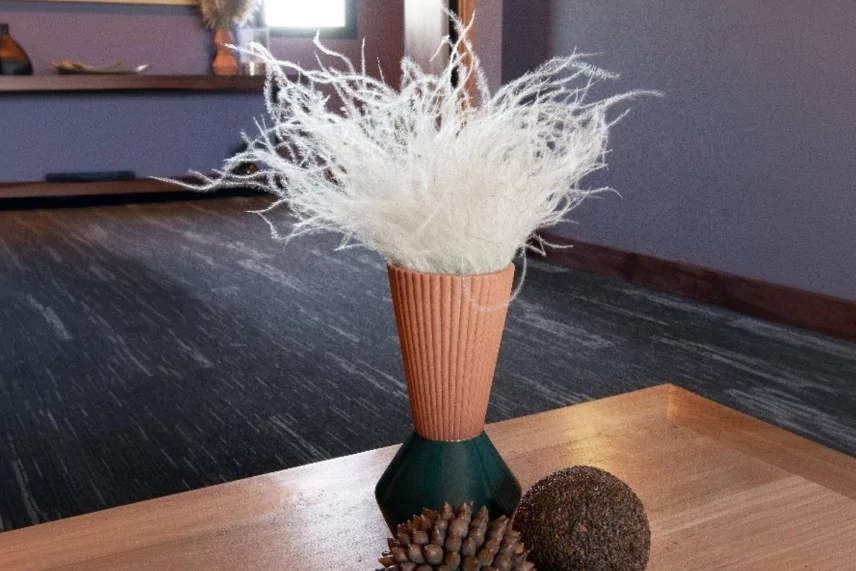 Dried Stipa Pennata - Natural