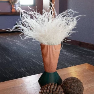 Dried Stipa Pennata Natural