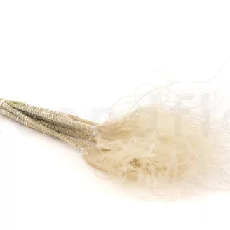 Dried Stipa Pennata Natural