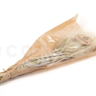 Dried Stipa Pennata Natural