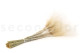 Dried Stipa Pennata - Natural 7