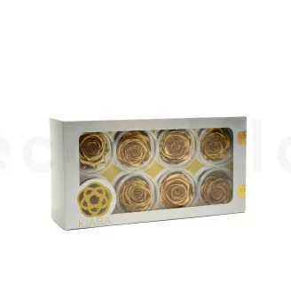 Preserved Rose L Gold (set of 8)