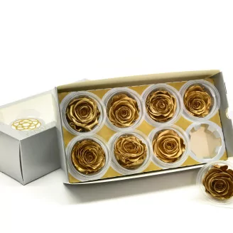 Preserved Rose L Gold (set of 8)